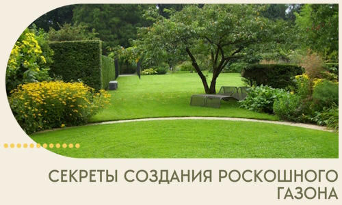 Секреты создания роскошного газона в Нягани