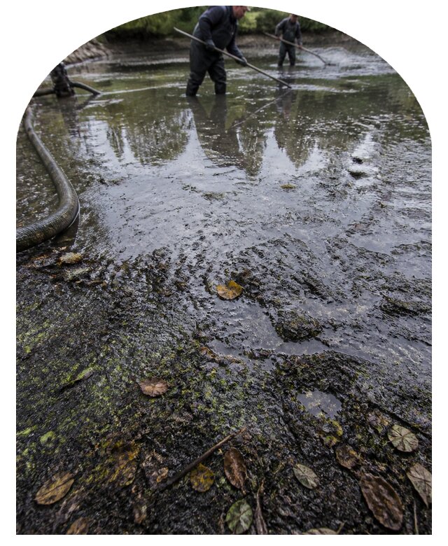 Очистка пруда в Нягани от ила мусора и водорослей с вывозом